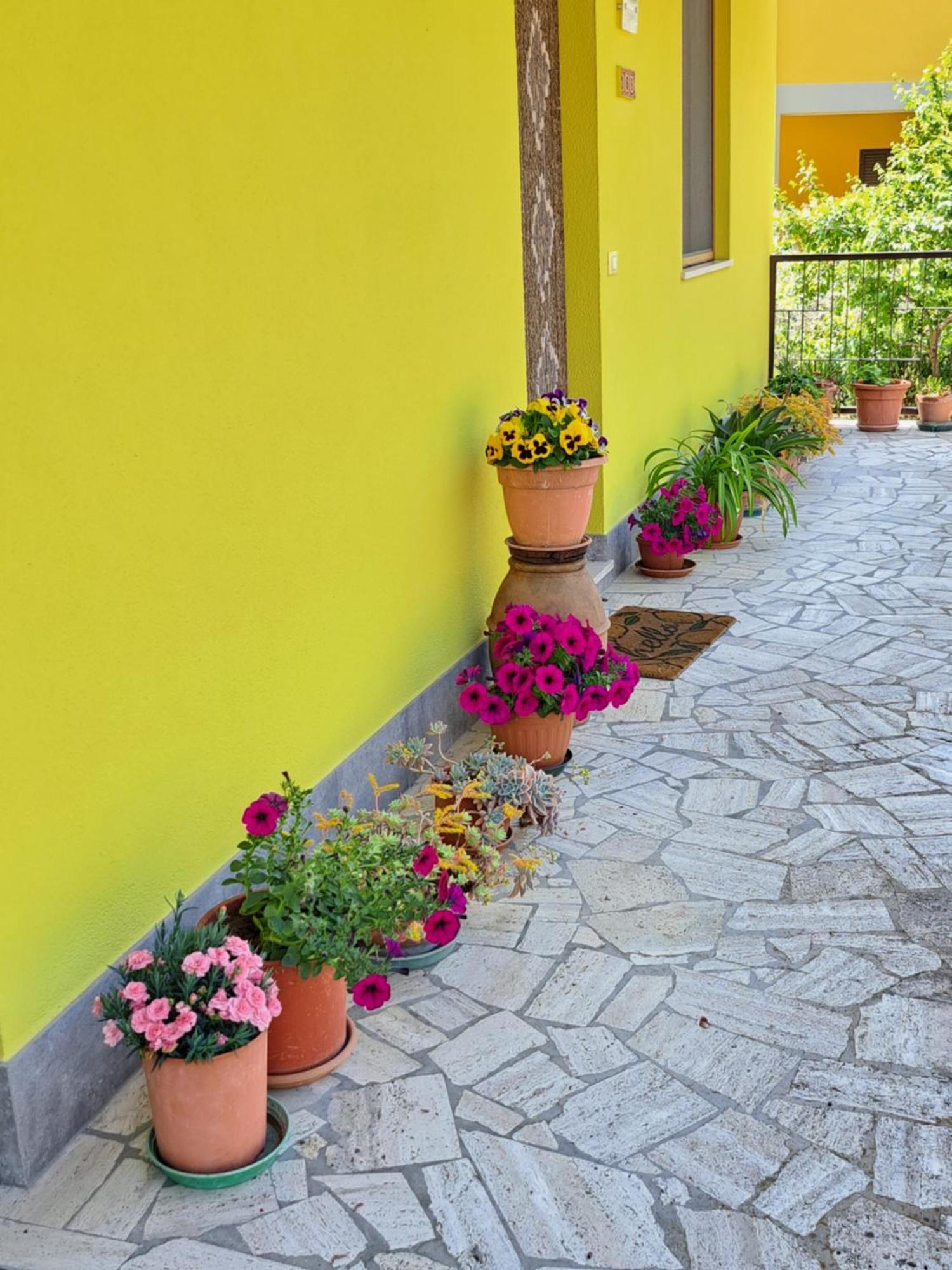 Villa Casa Gli Ulivi Montepulciano Stazione Exterior foto